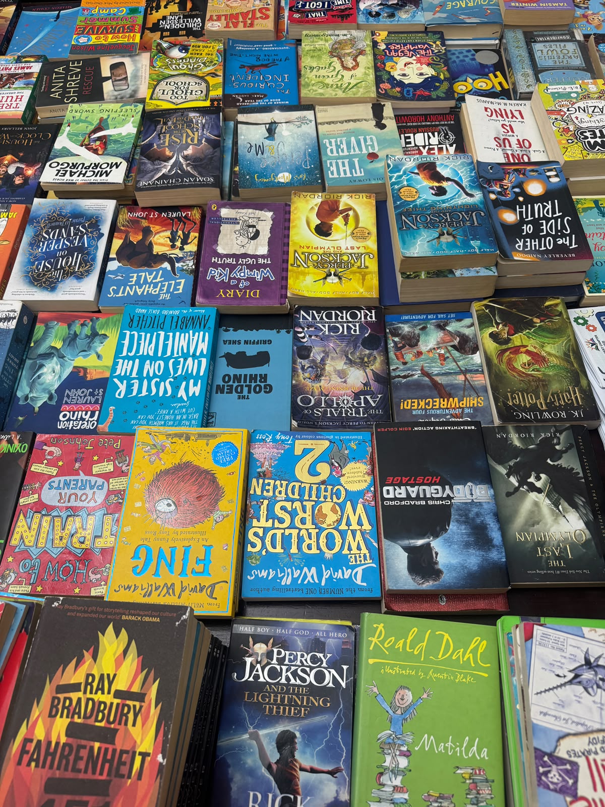 A literacy drive collection ready for learners
